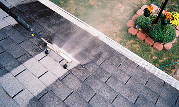 Roof Cleaning in Greensboro NC Roof Cleaning Services in Greensboro NC Roof Cleaning in NC Greensboro Clean the roof in Greensboro NC Roof Cleaner in Greensboro NC Roof Cleaner in NC Greensboro Quality Roof Cleaning in Greensboro NC Quality Roof Cleaning in NC Greensboro Professional Roof Cleaning in Greensboro NC Professional Roof Cleaning in NC Greensboro Roof Services in Greensboro NC Roof Services in NC Greensboro Roofing in Greensboro NC Roofing in NC Greensboro Clean the roof in Greensboro NC Cheap Roof Cleaning in Greensboro NC Cheap Roof Cleaning in NC Greensboro Estimates on Roof Cleaning in Greensboro NC Estimates in Roof Cleaning in NC Greensboro Free Estimates in Roof Cleaning in Greensboro NC Free Estimates in Roof Cleaning in NC Greensboro